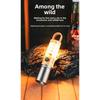 Flashlight, Strong Light, Multifunctional Dual Source Rechargeable Lighting, Zoom Tungsten Wire Atmosphere Camping Light