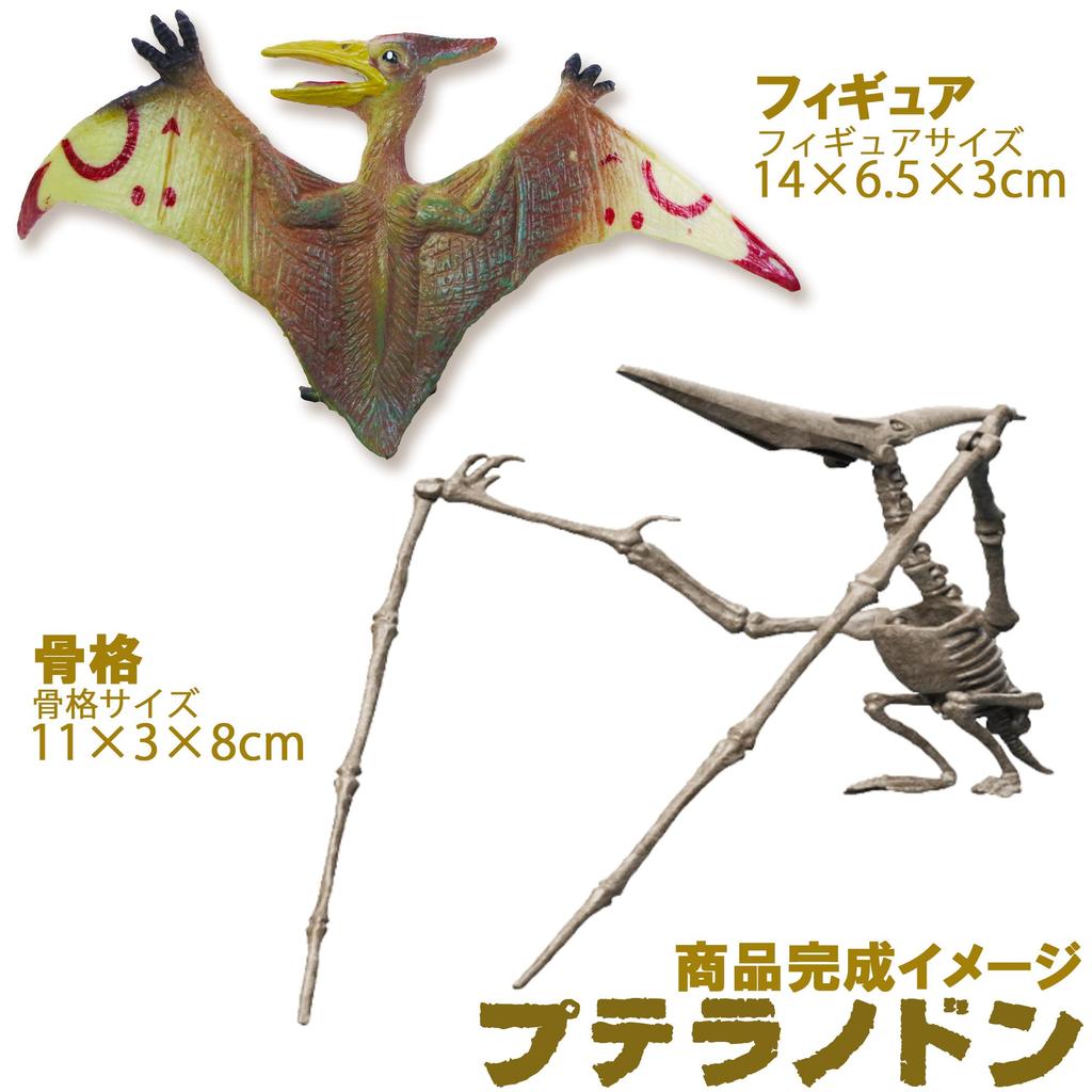 Excavation Kit for Pteranodon Ages Includes Dinosaur Figure and and Magnifying Plaster Fossil Plastic Independent Science Educational Toy Dinosaurs,