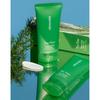 PAPA RECIPE Tea Tree Control Mild Sun Cream 50ml SPF50+ PA++++ Soothing Sunscreen
