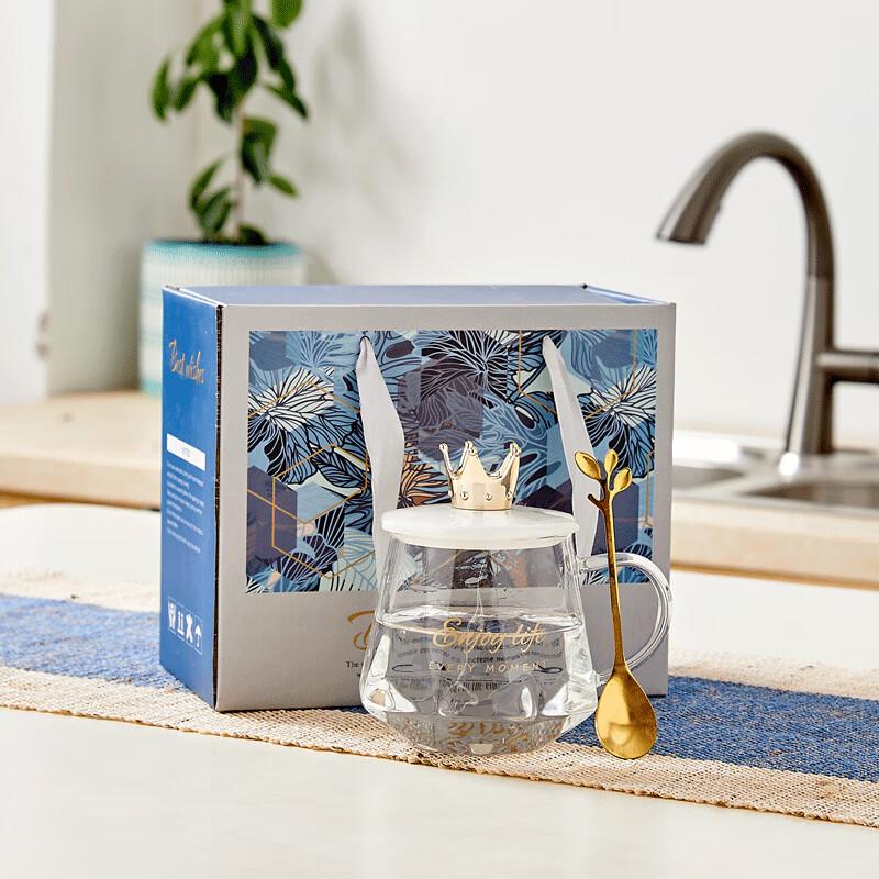 High Borosilicate Glass Cup with Crown Lid Single Cup