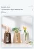 Retro Wooden Hydroponic Vase: Fresh Living Room Desktop Ornament for Chlorophytum.