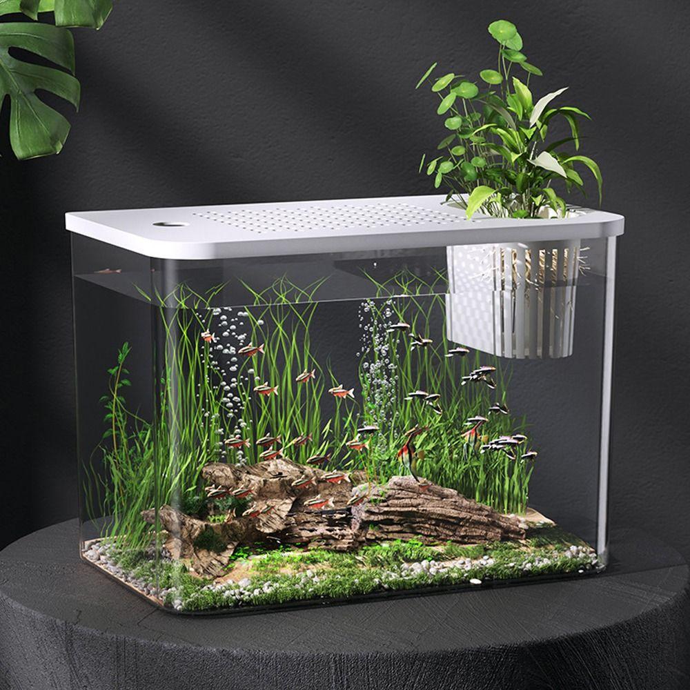 Transparent Desktop Aquarium with Lid Turtle Tank Durable Ecological Water Tank  for Home