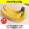 Felimoa Banana Replica Food Replica Restaurant Cafeteria Fruit Shop Decor Set of 2