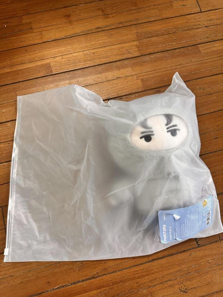 [USED] MINITEEN Pop-up Plush Vernon