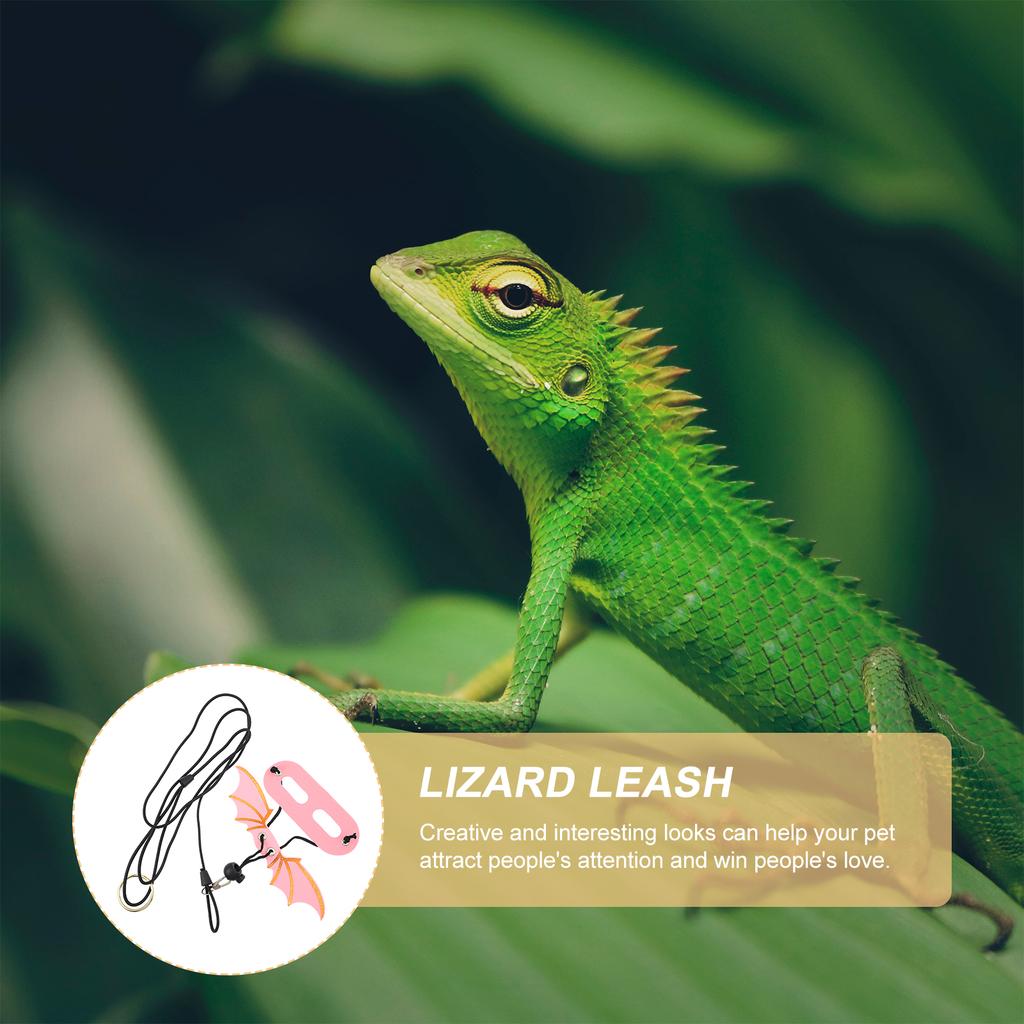 5Pcs Lizard Harness Wings Bearded Dragon Clothes Adjustable Pet Supplies Lizard Leash Reptile Gear Durable