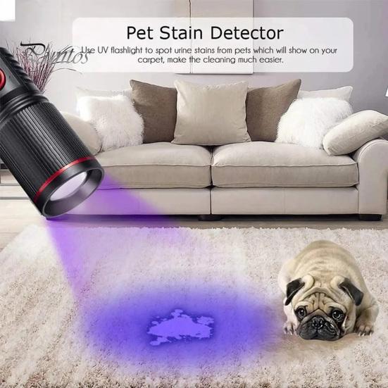 UV Flashlight 395nm Black Light USB Rechargeable Zoom Function Waterproof Portable Ultraviolet Torch Light
