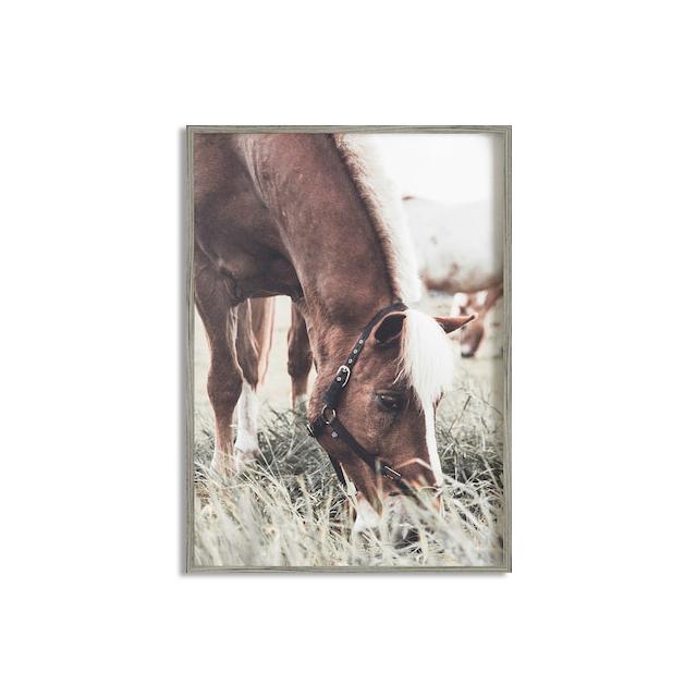 Horse Poster Print Modern Horses In The Field Wall Art HD Picture Canvas Painting Living Room Mural Home Decoration Gift Cuadros