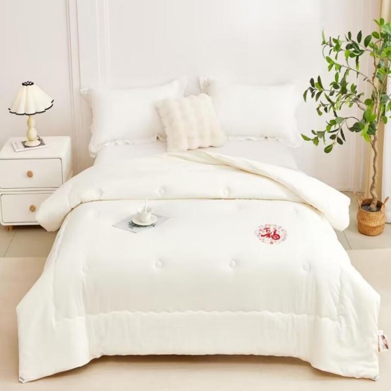 

ANNA AISHER Super Soft Blended Quilt