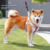 Köpek Tasması Yelek Tipi Evcil Hayvan Göğüs Kayışı Köpek Gezdirme Tasması Küçük ve Orta Boy Corgi Ayı Teddy Tasması