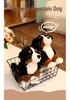 Adorable Bernese Mountain Dog Plush Toy – Realistic Sheepdog Cloth Doll Gift