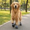 4pcs/set Breathable Anti-Slip Dog Boots Adjustable Dog Paw Protectors Pet Sneakers  Training