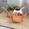 Arrosoir inox 0,9 L (30 oz) - Bec long, anti-corrosion, pour plantes d'intérieur
