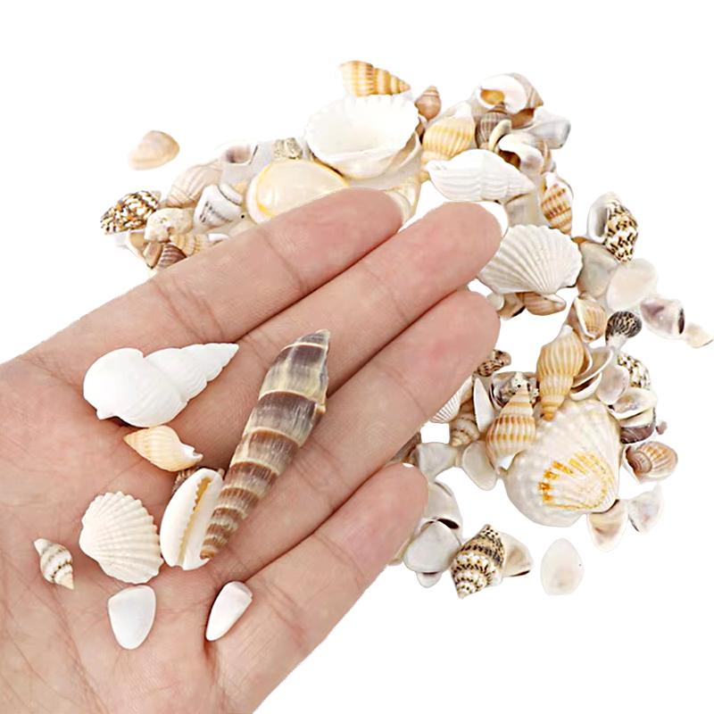 1 Zestaw Akwarium Aranżacja Miniaturowe Muszle Mini Muszle Materiały do Biżuterii DIY Akcesoria DIY Dekoracja Akwarium Różne