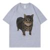 Oiia Oia Cat Funny Meme T Shirt Unisex Unisex Clothing High Street Fashion Trend Tshirt Summer Casual Loose Short Sleeve Tshirts