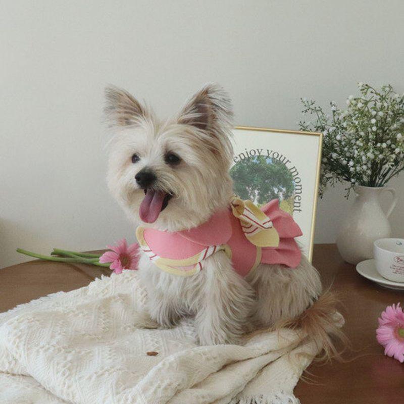 Haneul mung mung New Jeans Denim Harness