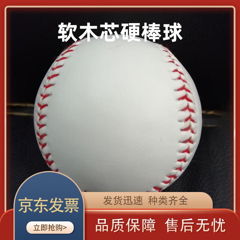 Zhenchangsheng 9-inch Training Baseball (10-Pack)