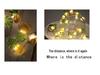 LED Fruit String Lights with Pineapple Pendants - USB Copper Wire for Kids' Decor and Gifts