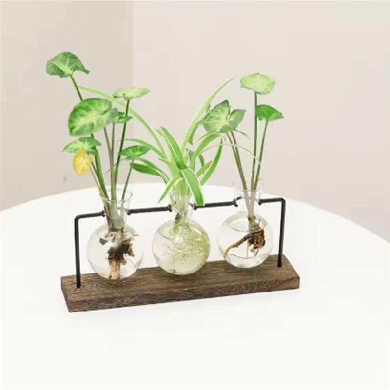 B97A-Bonsai Planter Multi-Purpose Wooden Frame Tabletop Vase Set Hydroponic Base Terrarium Display Container Home Decor