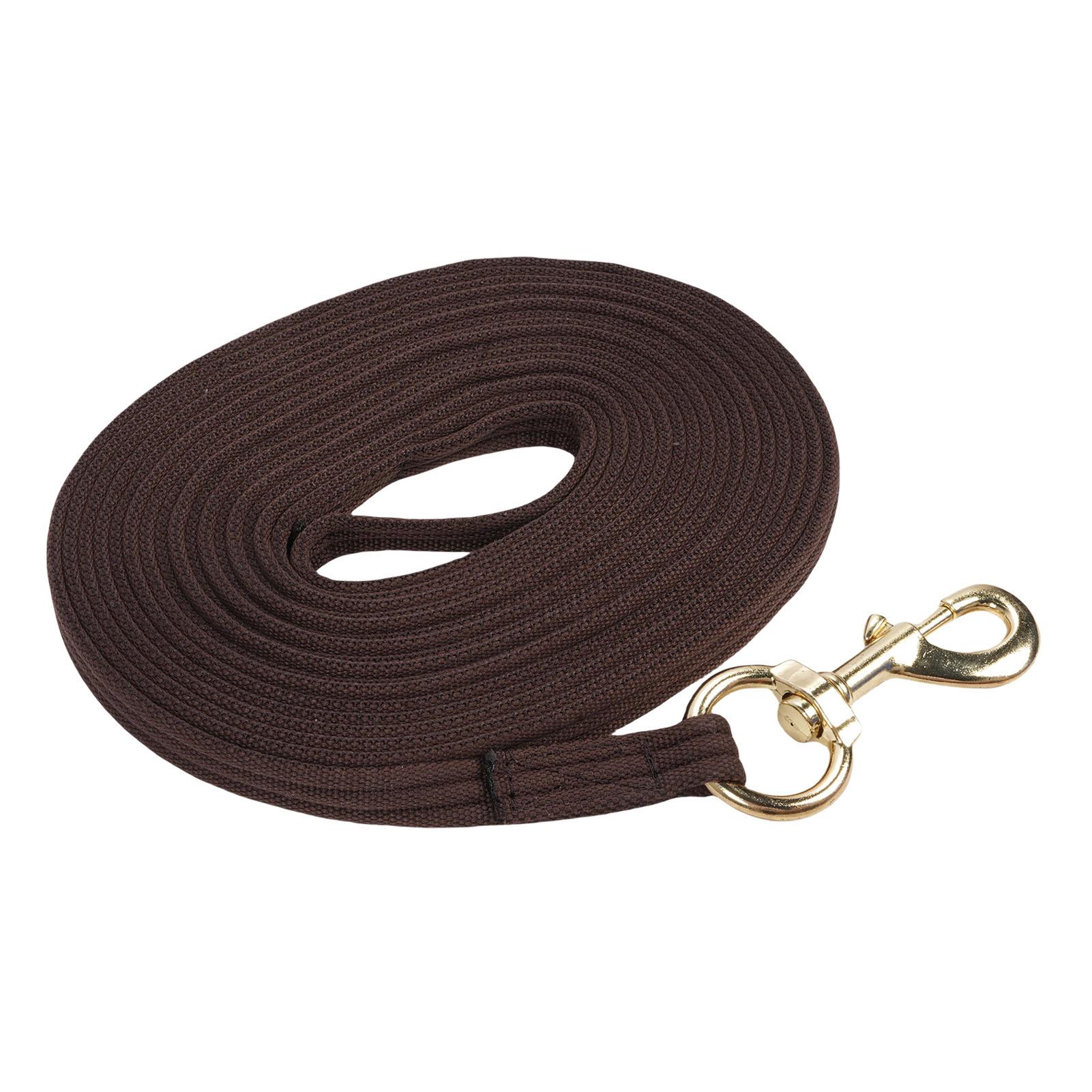Corde d'entraînement pour chevaux 8,2 m Poignée douce et confortable Ligne de contrôle équestre avec fixation rapide pour licol pour la performance marron