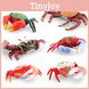 Realistic Crab Model With Detailed Features Vibrant Pvc Material For Display And Collection