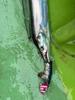 Hapyson LED Tachiuo Tenya 50 Full Glow YF-562-F