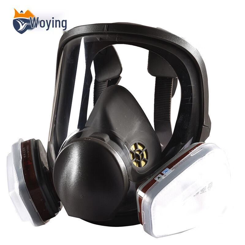 6800 Respirator Mask