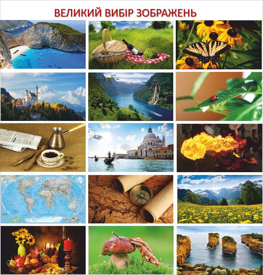 Картина-обогреватель "Пчелы на цветке" на пленке Monocrystal 105x60 см 300 Вт