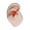 Realistic Silicone Ear Model Soft and Flexible Medical Students Practice