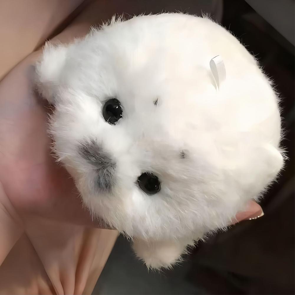 Niedliche Robben Plüsch Schlüsselanhänger Weiche Kawaii Robbe Plüschtier Anhänger Tier Auto Schmuck Mode Stoffpuppe Schlüsselring Autoschlüssel Zubehör