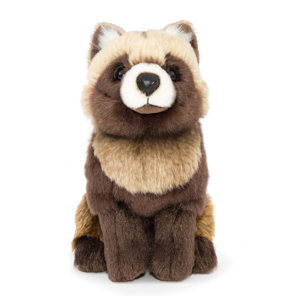 Hondo Raccoon Dog Plush Toy Animal Realistic Raccoon Dog Plush Baby Birthday Christmas Gift [COLORATA] (Realistic Baby/Soft Touch) Toy, Animal, Toy,