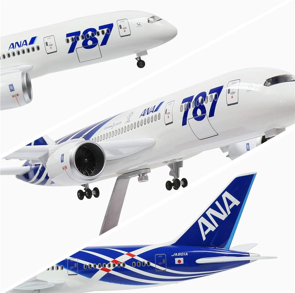 B787 Plane Model Airplane 1/130 Scale 18.5 Inchs All Nippon Airways Japan ANA Diecast Airplane Model with LED Light for Decor