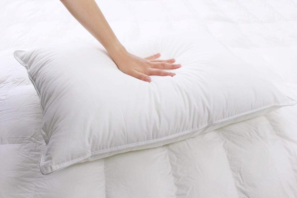 Danfill Fiber Pillow with Premium Satin Pillow Cover, White, Standard Size (JPA221-AKF01G)