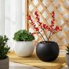 Round Ceramic Plant Pot Matte Textured Surface Two Color Options Perfect For Home Office Indoor Plant Decor