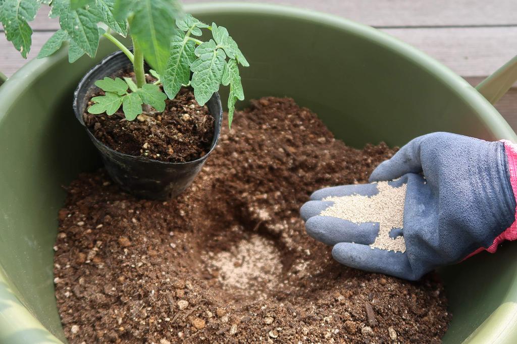 Sumitomo Chemical Gardening Benica Insecticide and for and Diseases X-Guard Fungicide, Granules, 550g, Long-lasting, Flowers, Vegetables, Insects,