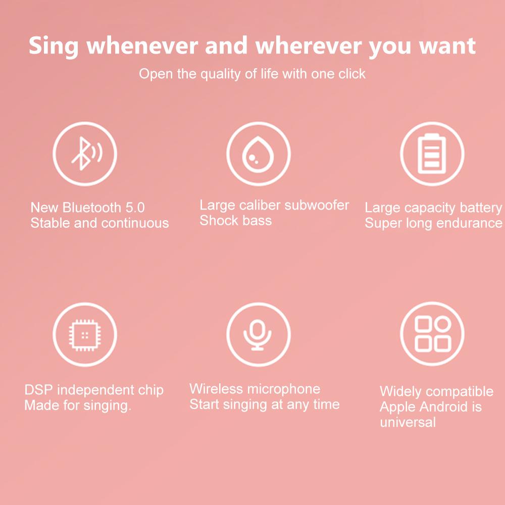 Barevná světla Domácí reproduktor Mini Karaoke Machine Dětský Přenosný Bluetooth reproduktor s bezdrátovým mikrofonem Rodinný reproduktor