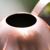 Stainless Steel 1.5L Long Spout Watering Can - Large Capacity Portable Garden Sprinkler