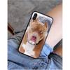 Yinuoda Pitbull Süßer Haustierhund Pitbull Handyhülle für iphone 11 12 Mini Pro Max X XS MAX 6 6s 7 8 plus 5 5S 5SE XR SE2020