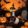Halloween Goose Costume Set Includes Witch Hat with Spider and Pumpkin Design Bandana with Halloween Themed Prints and Sunglasses Accessory for Pets