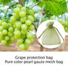 50pcs Fruit Protection Bags Pest Control Anti-Bird Garden Netting Strawberry Bags Mesh Grapes Bag Drawstring Planter Grow Bags