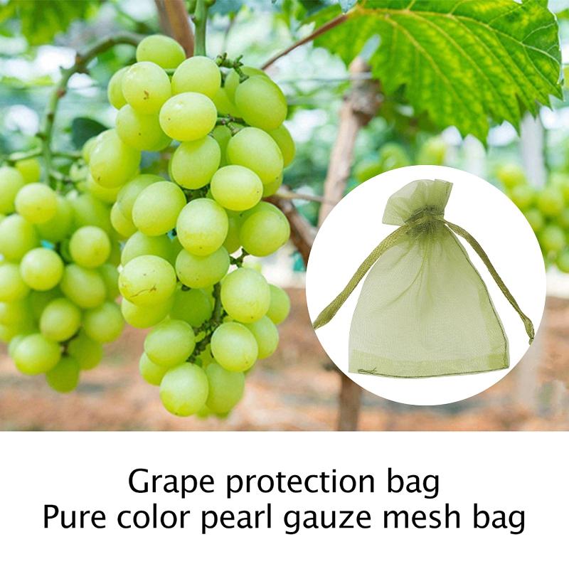 50pcs Fruit Protection Bags Pest Control Anti-Bird Garden Netting Strawberry Bags Mesh Grapes Bag Drawstring Planter Grow Bags