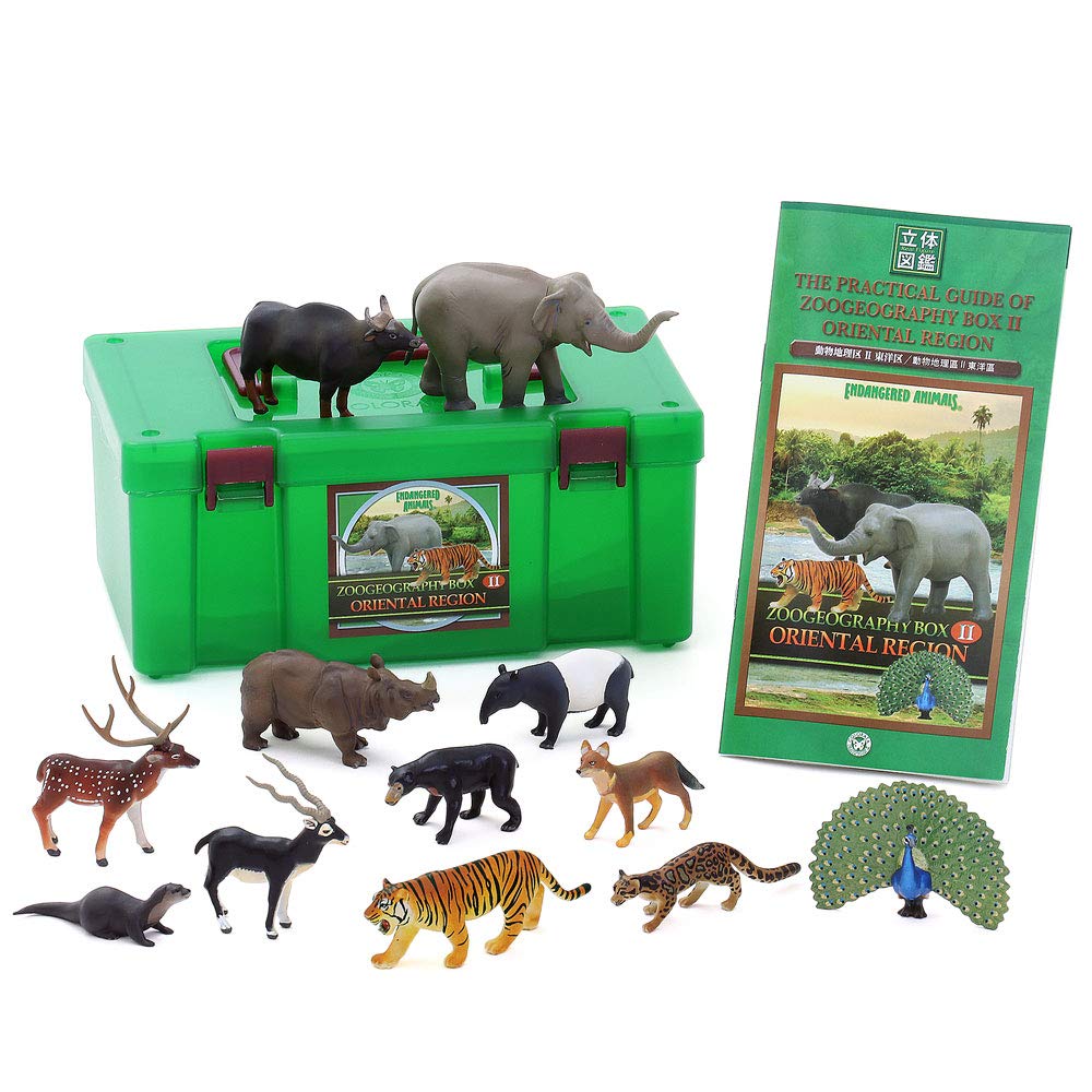 

Carolata Animal Geography Zone 2 Figure 3D Encyclopedia Zone Animals 12 Species Includes Realistic Figure Box Toy Educational Toy Gift Food Sanitation