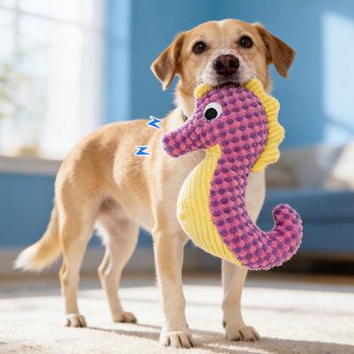 Meeresbewohner Hundespielzeug Plüsch Quietschend Hundekauspielzeug Strukturierter Stoff Stofftiere für kleine und mittelgroße Hunde Welpen Kauen Zahnen