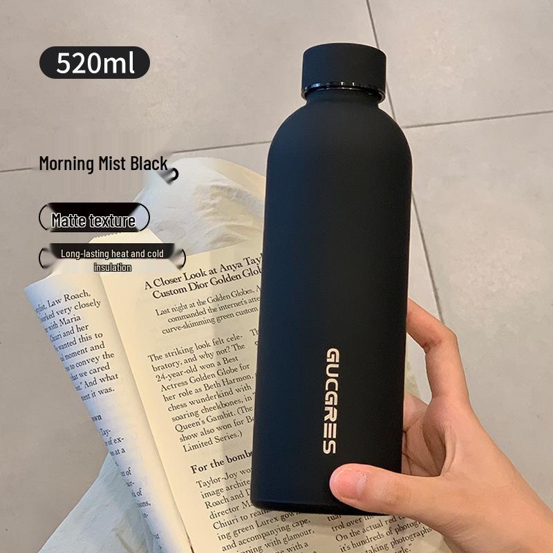 

Stainless Steel Insulated Sports Water Bottle, Large Capacity & Portable for Men 520ML