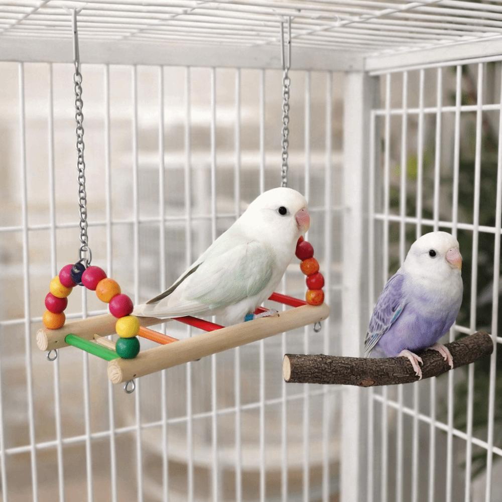Multi Functional Bite Resistant Parrot Swing Colorful Hanging Beads Bird Wooden Bird Cage Standing Interaction
