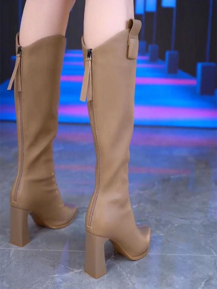 Brown knee high heel boots women's 2025 autumn and winter new pointed thick heel zipper fashion long tube boots