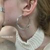Blogger's Wave Glossy Big Earrings: High-End, Niche Style Circle Earrings for Women