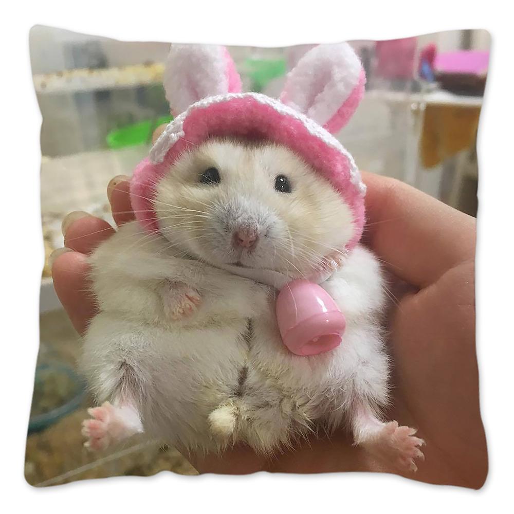 Funny Hamster Meme Pillow Cover Home Decor Polyester Cushion Cover for Sofa Car Cute Pillow Case Cojines Decorativos Para Sofá