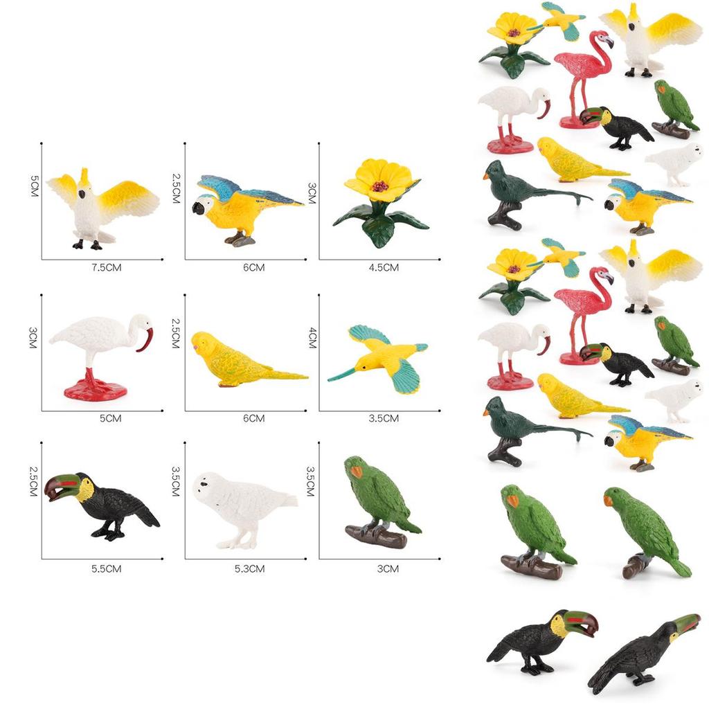 Kids Wild Bird Replica Pvc Educational Toy For Science Projects And Gift
