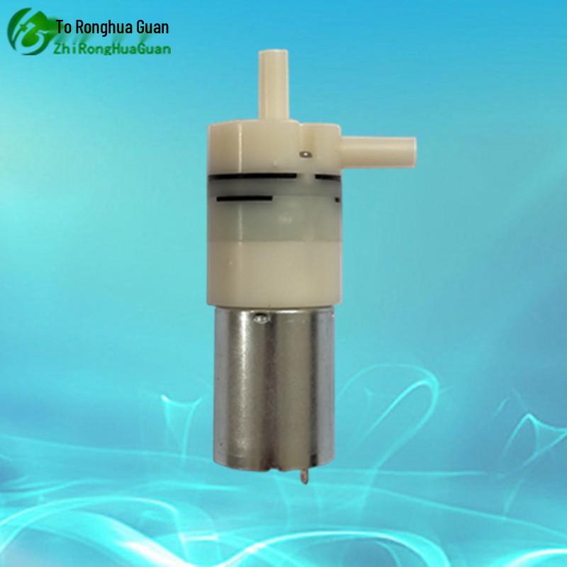 Ronghuaguan Miniature Diaphragm Self-Priming Water Pump 12V/24V DC