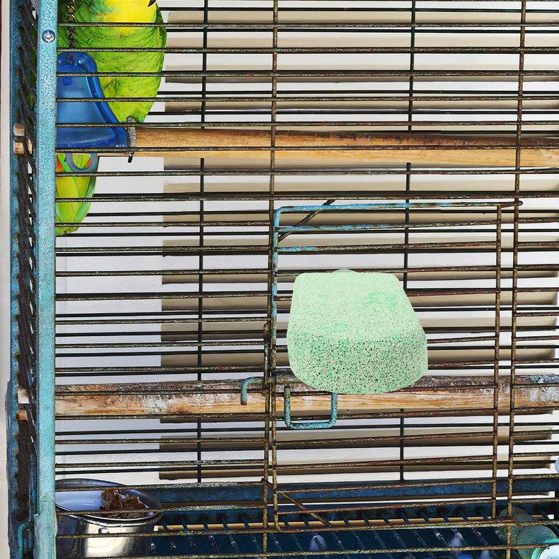 U-Shaped Parrot Stand Perch with Grinding Surface for Beak Wear Reduction Bird Cage Platform Perch for Large Birds Small Pets